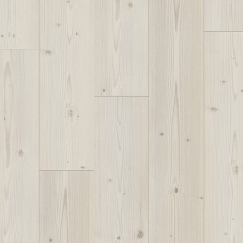 К4416 Ель Беленая