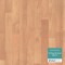 Maple | Tarkett Omnisports Speed